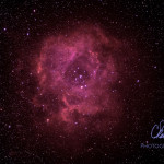 IMAGE BY CARLOS FLORES